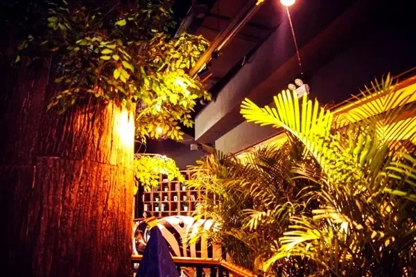 银川十大特色美食餐厅排名,银川18家特色餐厅新攻略