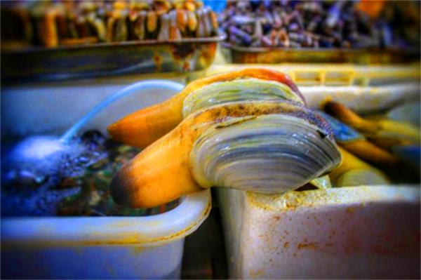 北纬18度温暖的冬季三亚之旅,北纬18度三亚旅游