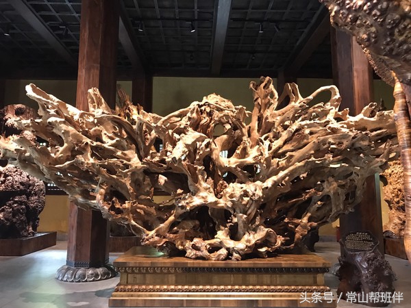 今年开化根宫佛国开化人免门票吗,衢州市开化根宫佛国文化旅游景区