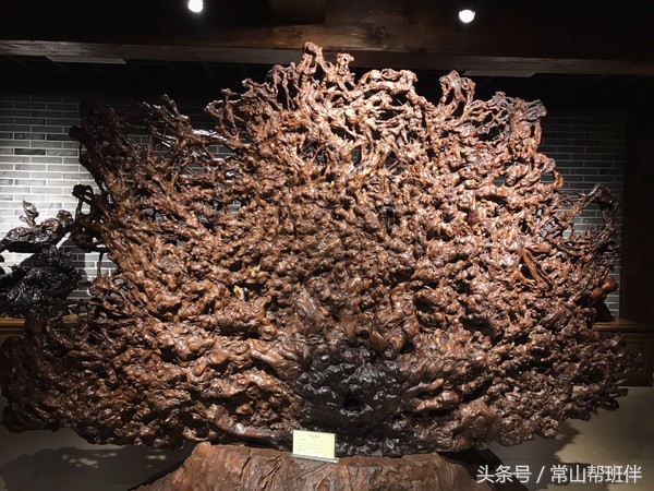 今年开化根宫佛国开化人免门票吗,衢州市开化根宫佛国文化旅游景区