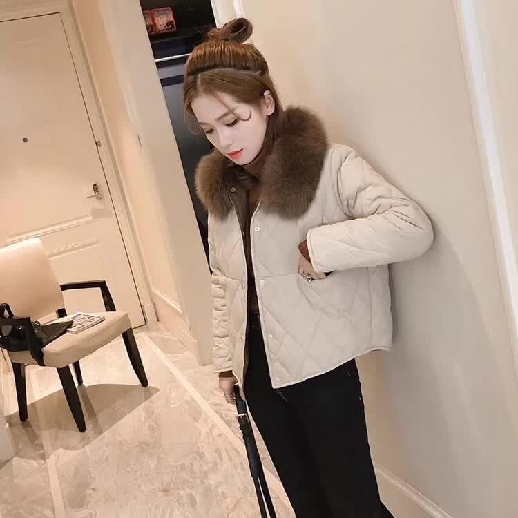 广州十三行秋季裙子,广州十三行最潮衣装