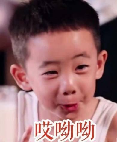 四六级常见问题,四六级考试急救技巧