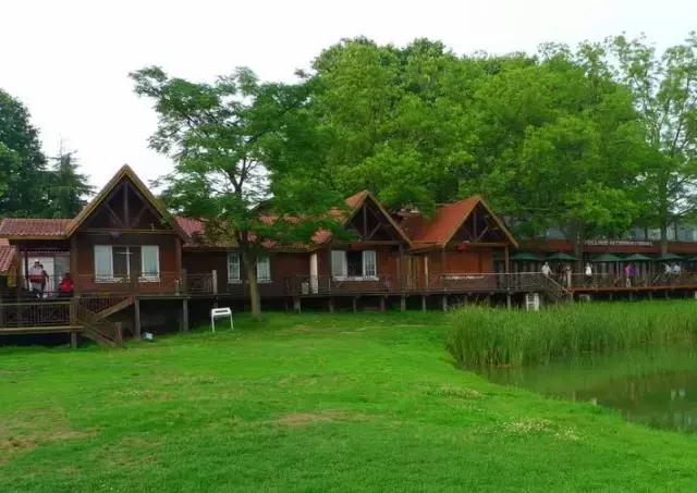 民宿攻略100个,南京民宿推荐1晚离景点近的