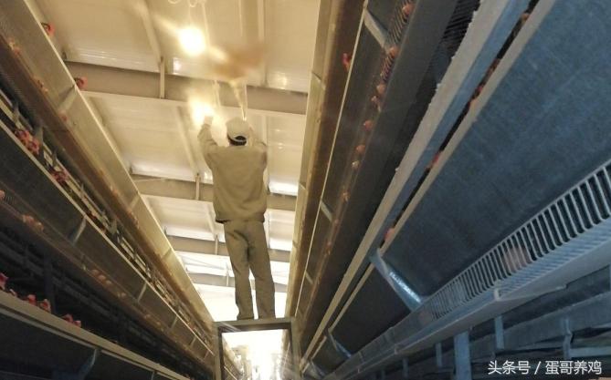 冬季鸡舍保温,怎样建鸡舍可以保温又通风