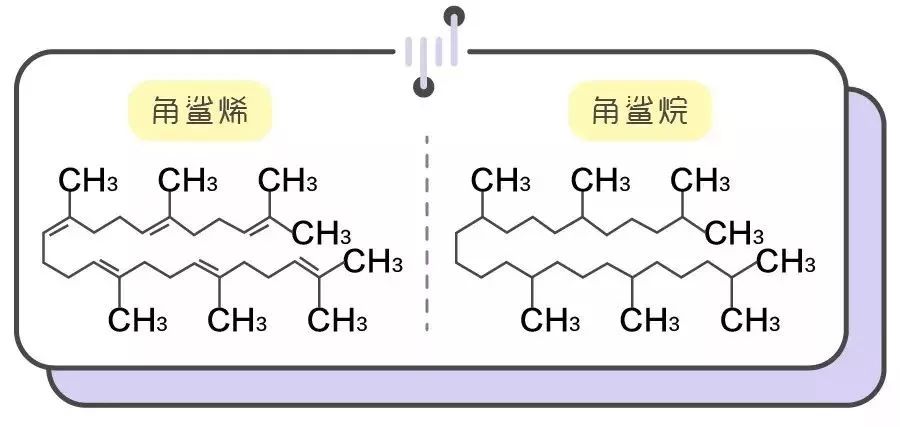 角鲨烷有什么护肤作用 (带你了解皮肤的天然保湿剂角鲨烷)