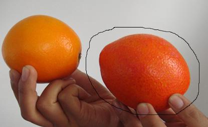 警惕染色工业橘子,识别橙子六种办法