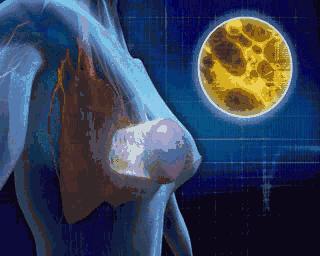 这一物几乎人人爱吃，但老中医却不碰……