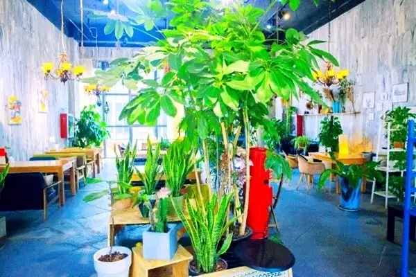 银川十大特色美食餐厅排名,银川18家特色餐厅新攻略