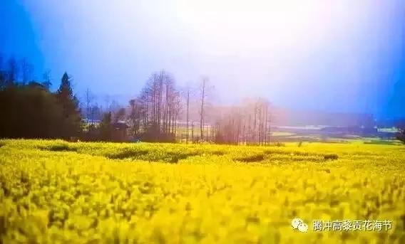 腾冲航线,2023年腾冲直飞航线