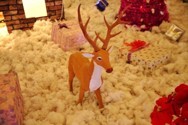 安庆凤凰酒店,安庆碧桂园凤凰酒店