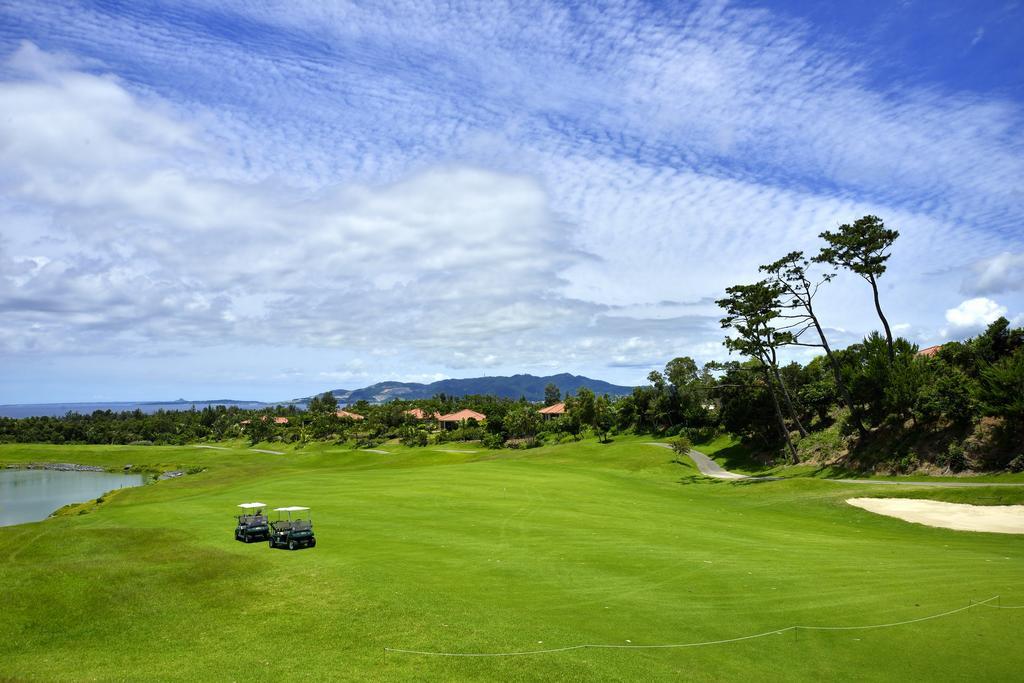 体验高尔夫,体验高尔夫运动的乐趣