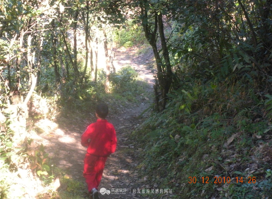 知子罗最后的坚守着