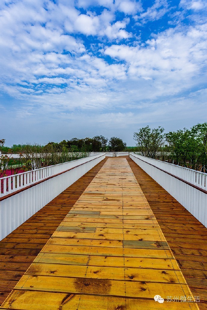 园博园花海在哪个位置,园博园花海现在还有么