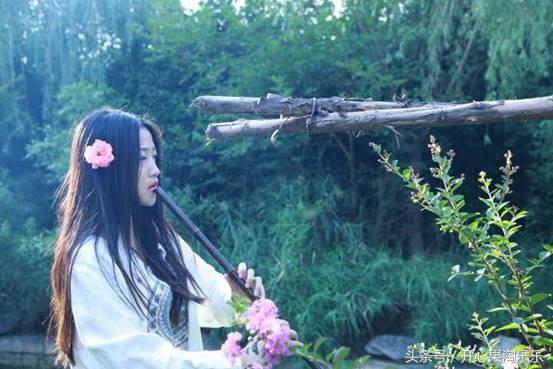 中国传统乐器箫,民族乐器箫有哪些