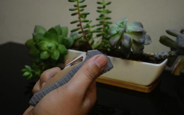 渡鸦来袭第三代升级款maxace,maxace渡鸦一代