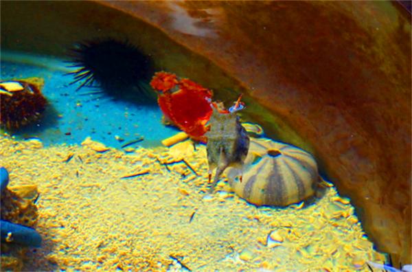 北纬18度温暖的冬季三亚之旅,北纬18度三亚旅游