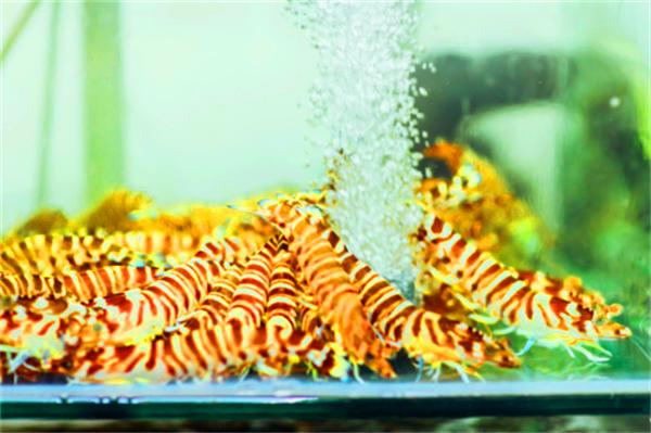 北纬18度温暖的冬季三亚之旅,北纬18度三亚旅游