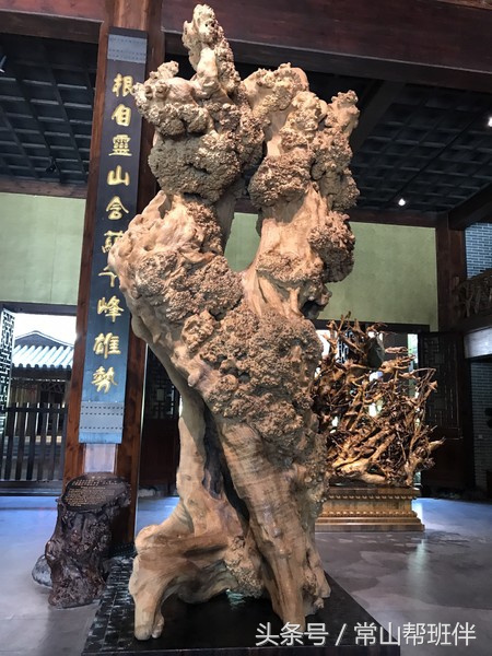 今年开化根宫佛国开化人免门票吗,衢州市开化根宫佛国文化旅游景区