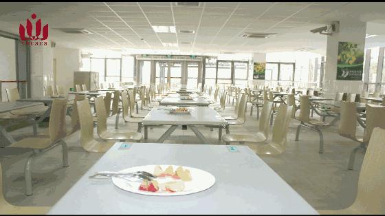 一份完整的学校食堂调查问卷,一份有关食物的问卷调查