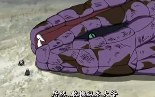 火影里凯的通灵兽是什么,火影通灵兽升级超过3只