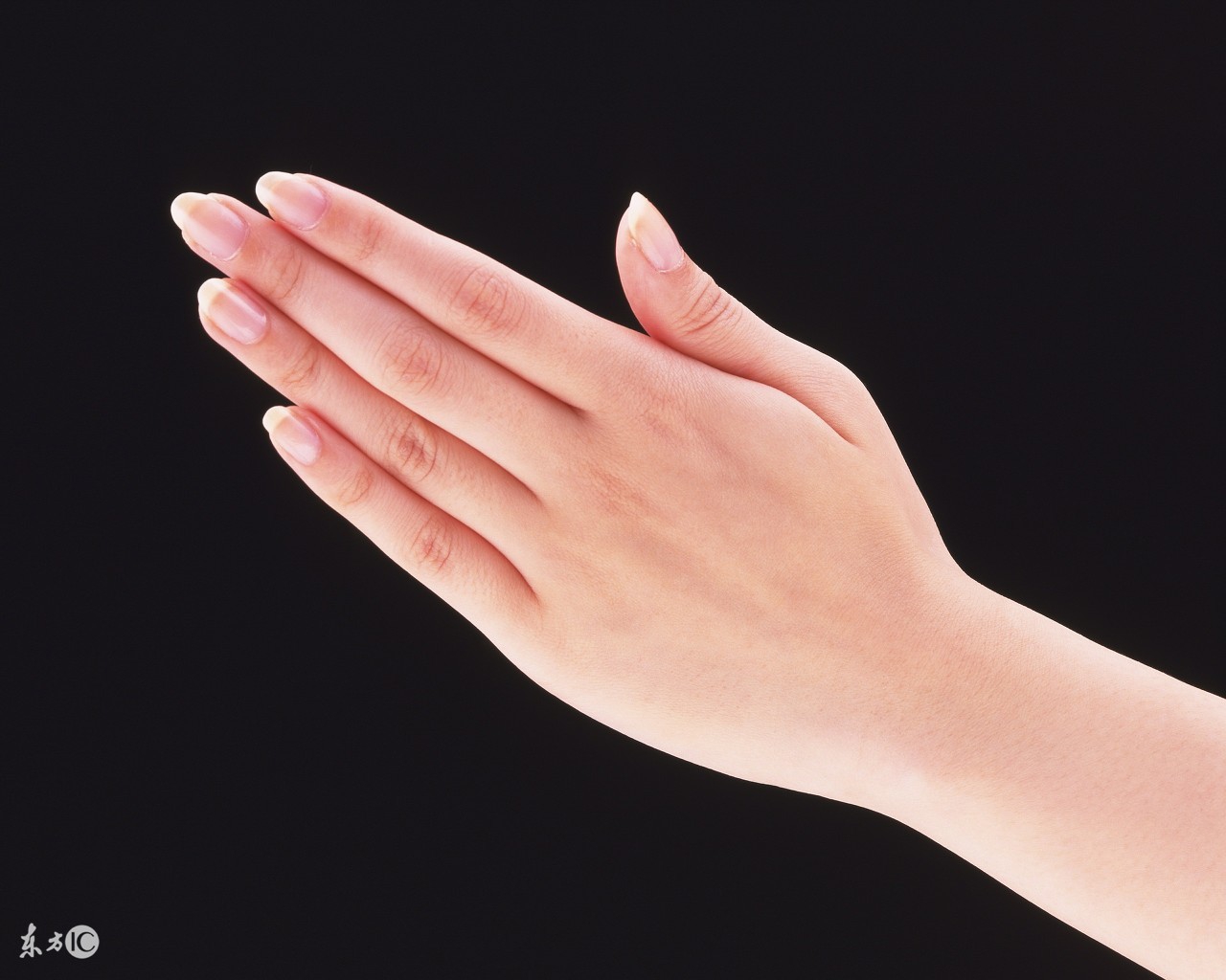 冬天手特别干有什么小妙招,冬天手干得厉害怎么护手