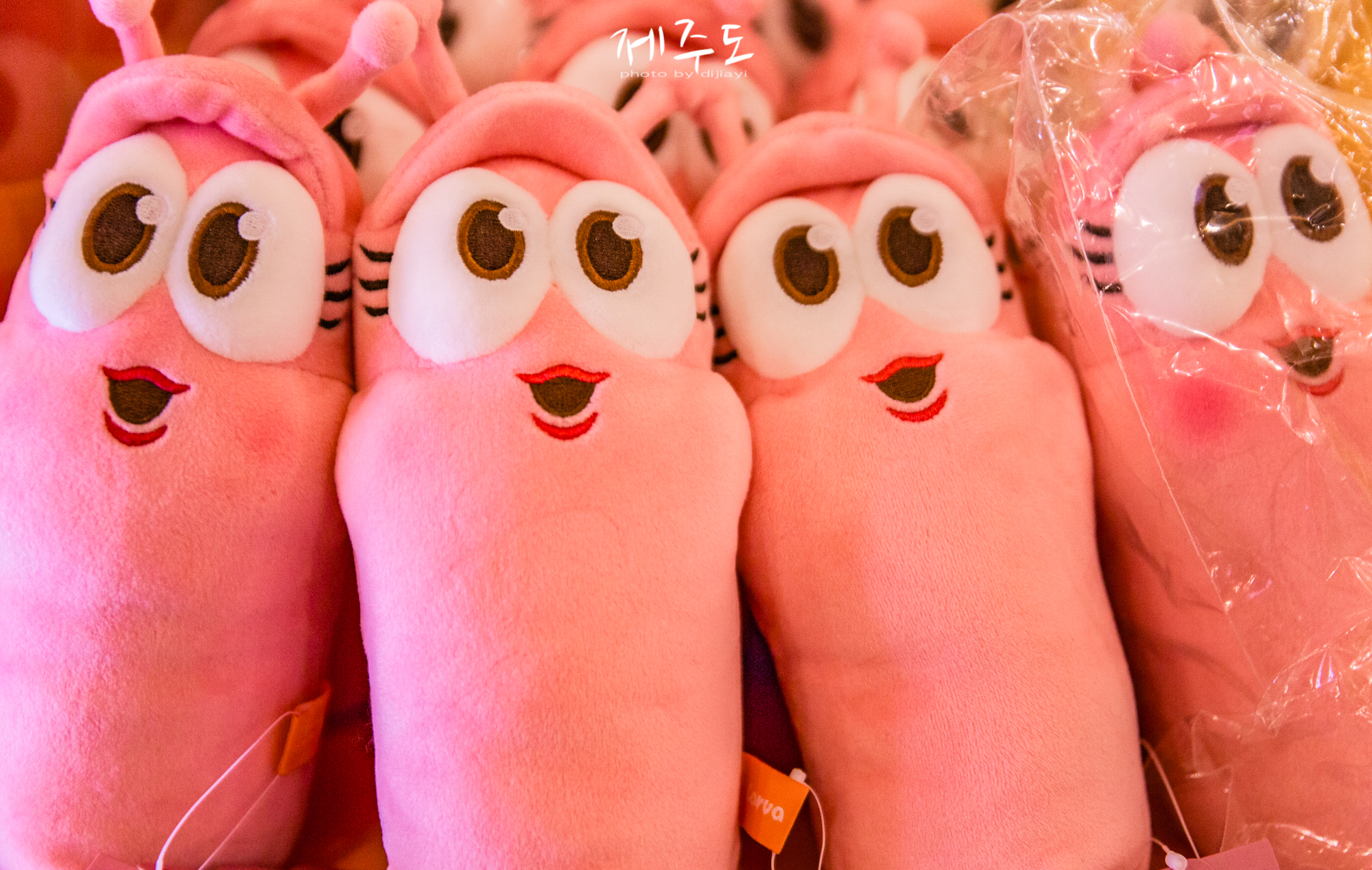 济州岛著名旅游景点,济州岛必游旅游景点推荐