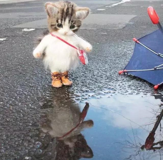 还我Beta版！微信公众平台正式版上线却被吐槽，你还习惯吗？