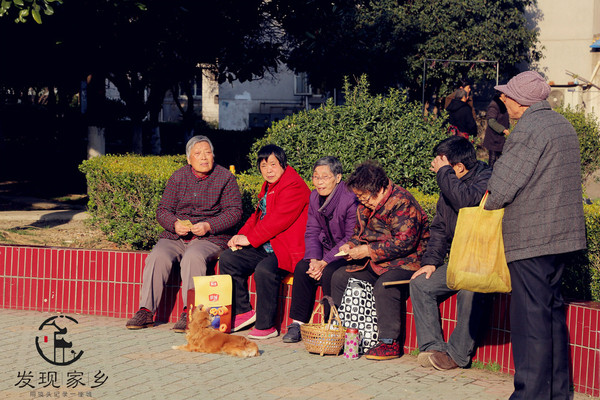 炸根油条，摊个鸡蛋饼，遛红梅公园，环抱半个常州老城区