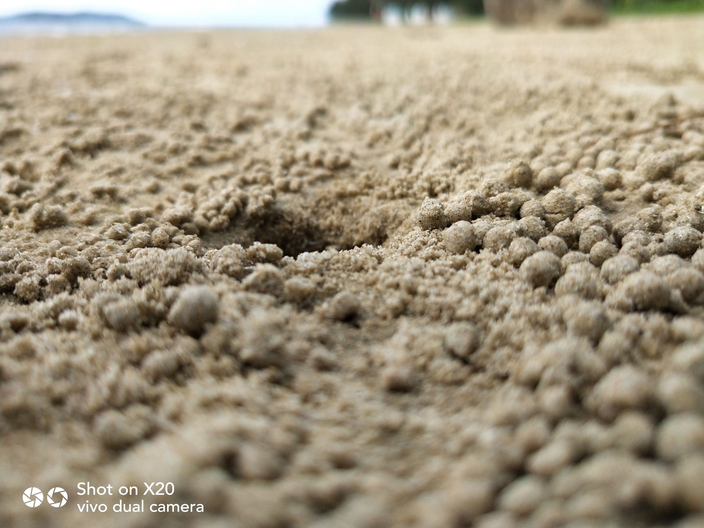 带着vivo x20去旅游 (vivox20plus沙巴之旅)