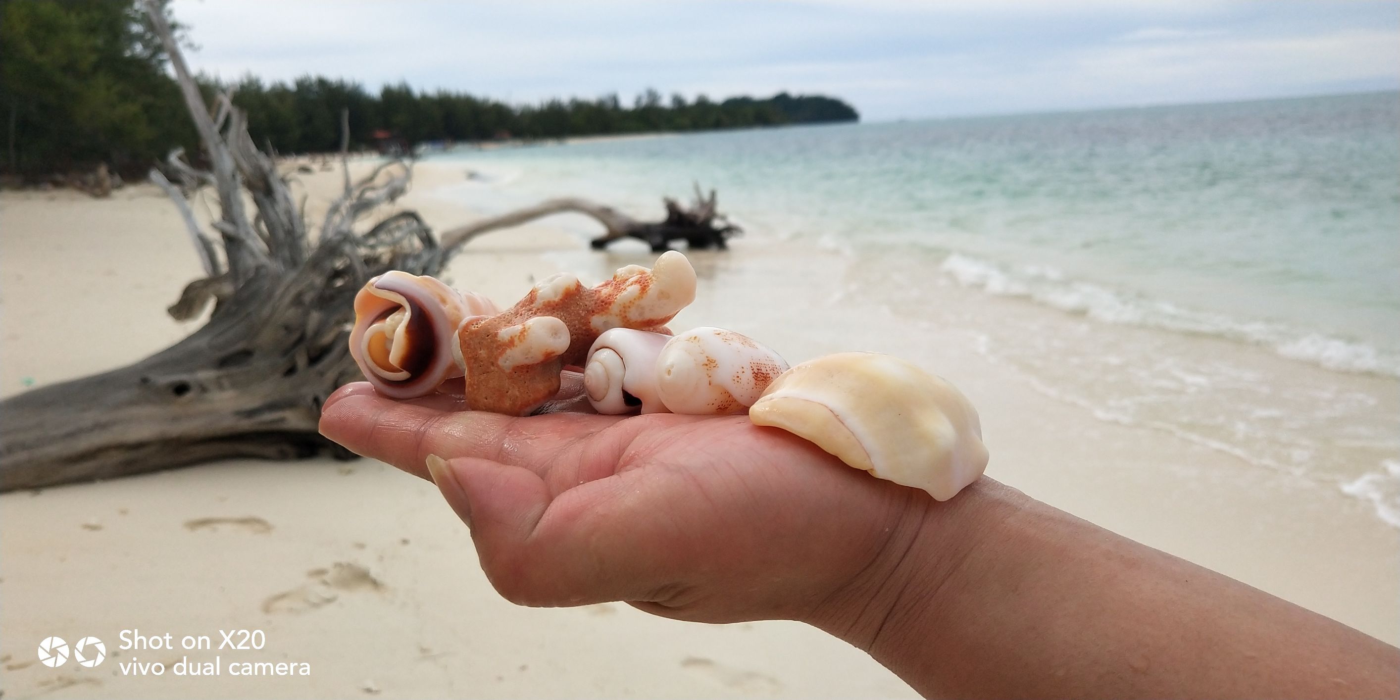 带着vivo x20去旅游 (vivox20plus沙巴之旅)