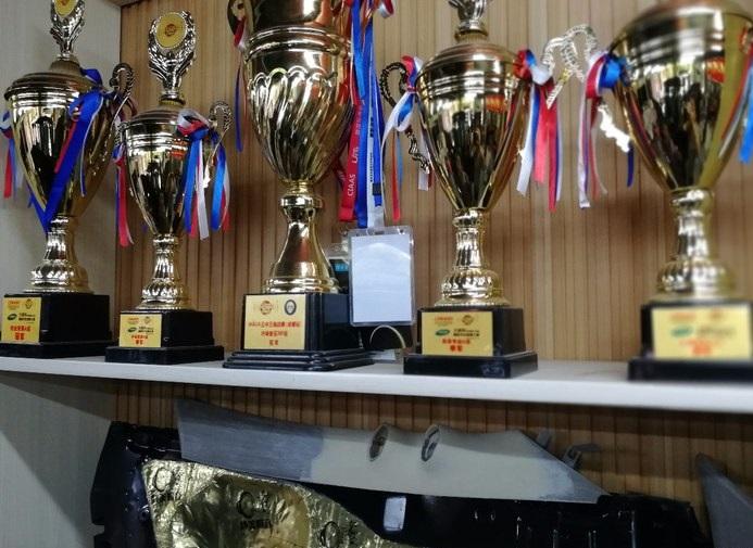 gs4和瑞虎7怎么选,瑞虎7与gs4哪个省油