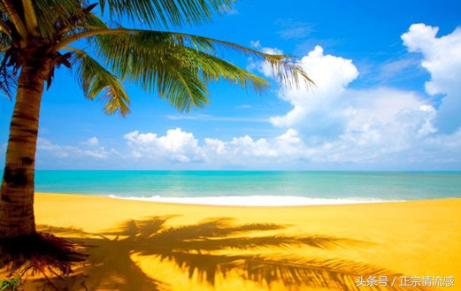 边走边吃水果视频,边走边吃一路看风景