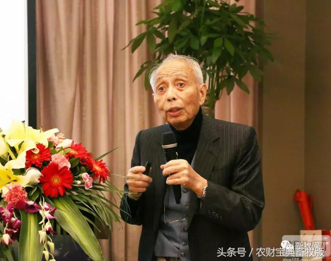 黎小兵、梁彦明、洪平、余平、袁建康、杨正宏等大咖齐聚一堂