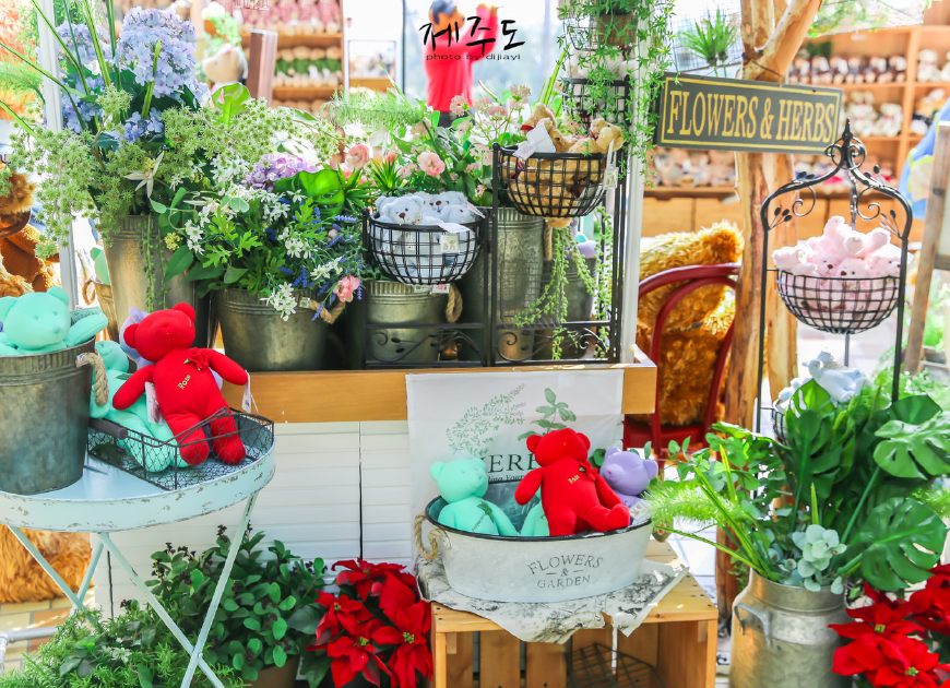 济州岛哪些地方不值得去,济州岛最值得去的景点是