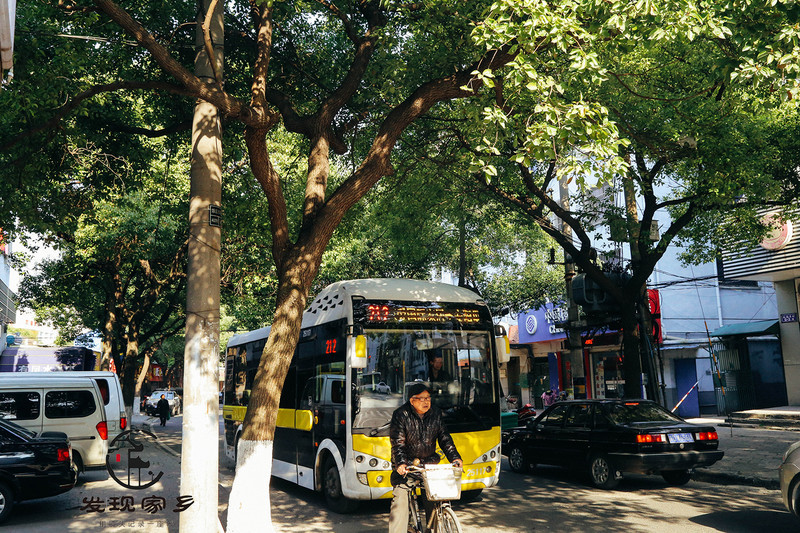 炸根油条，摊个鸡蛋饼，遛红梅公园，环抱半个常州老城区