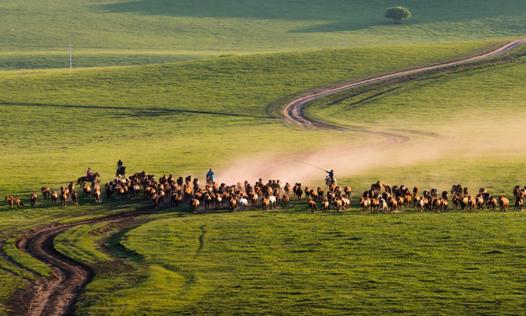 围场电商最新消息,威宁县农村电商发展现状