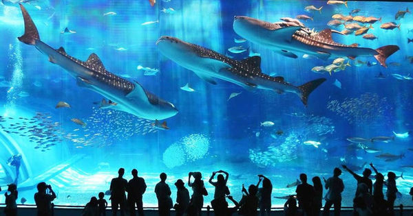 福州亲子一日游景点推荐,福州亲子旅游攻略二日游最佳路线