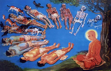 佛学视角:信众如何应对某些寺庙“借佛敛财”的行为