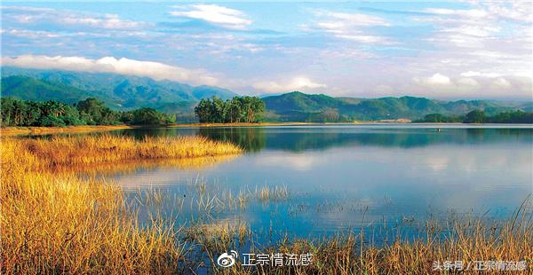 边走边吃水果视频,边走边吃一路看风景