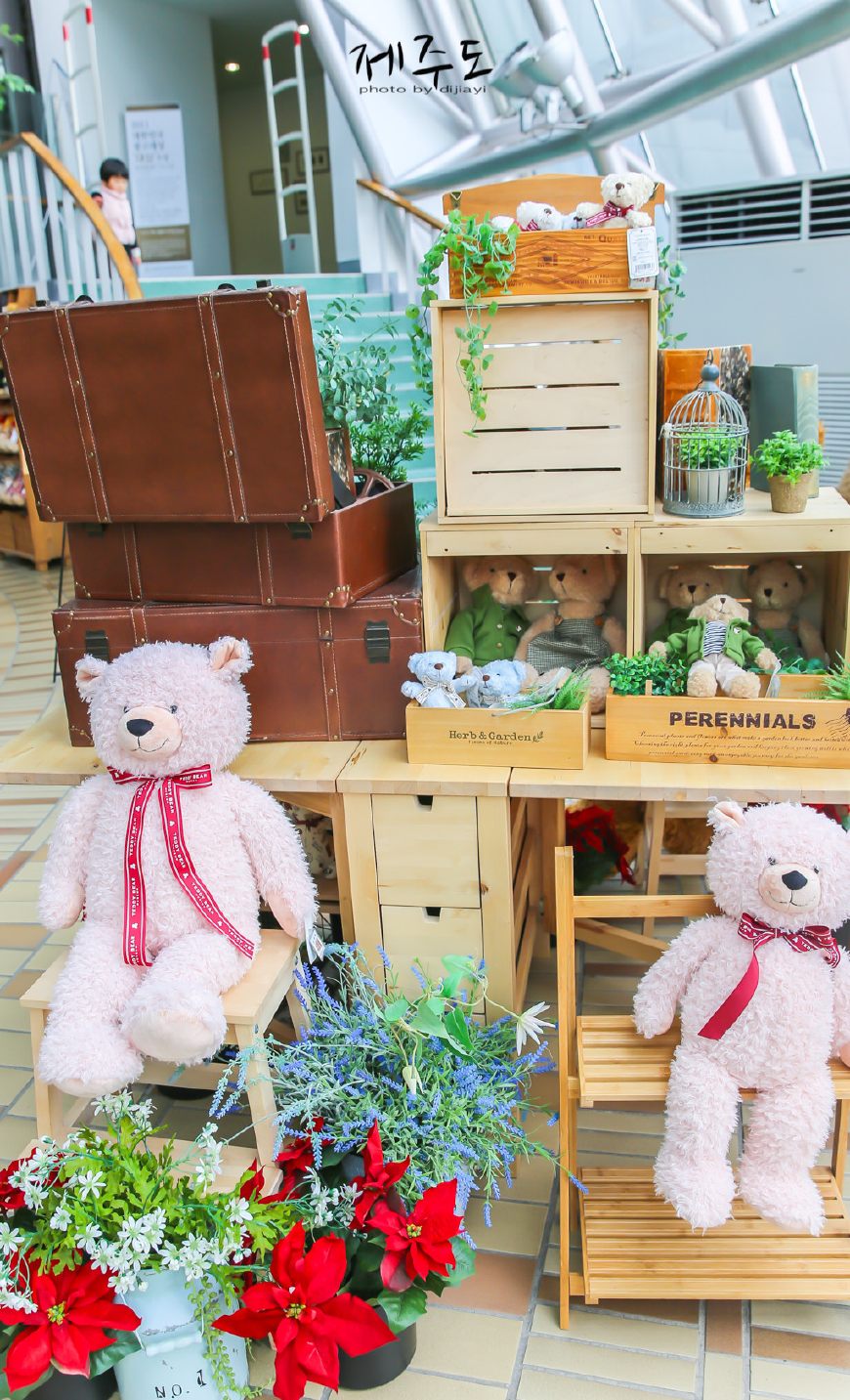 济州岛哪些地方不值得去,济州岛最值得去的景点是