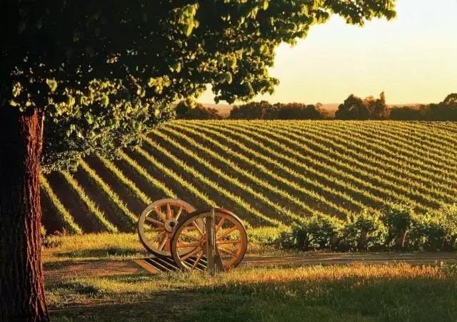 黄晓明南澳岛,黄晓明旅游