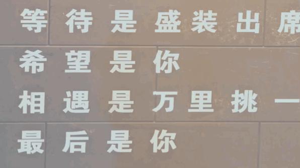 卷福华生最新视频,华生卷福第一次见面