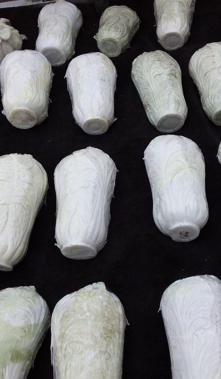 河南镇平石佛寺古玉器批发市场,石佛寺玉石交易市场攻略