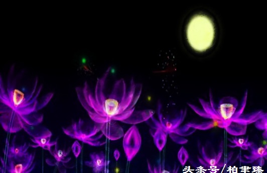 做人的十个基本道理,做人的十条处世之道