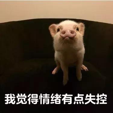 还我Beta版！微信公众平台正式版上线却被吐槽，你还习惯吗？