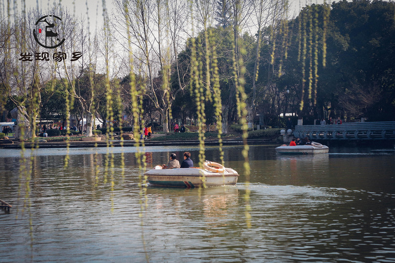 炸根油条，摊个鸡蛋饼，遛红梅公园，环抱半个常州老城区