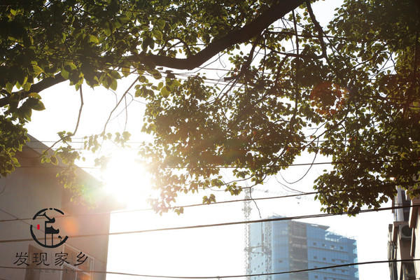 炸根油条，摊个鸡蛋饼，遛红梅公园，环抱半个常州老城区