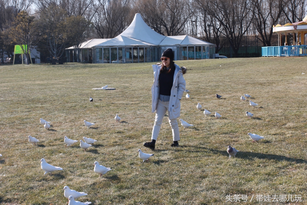 奥森附近藏着一个世外桃源，大草坪上喂白鸽、摸羊驼