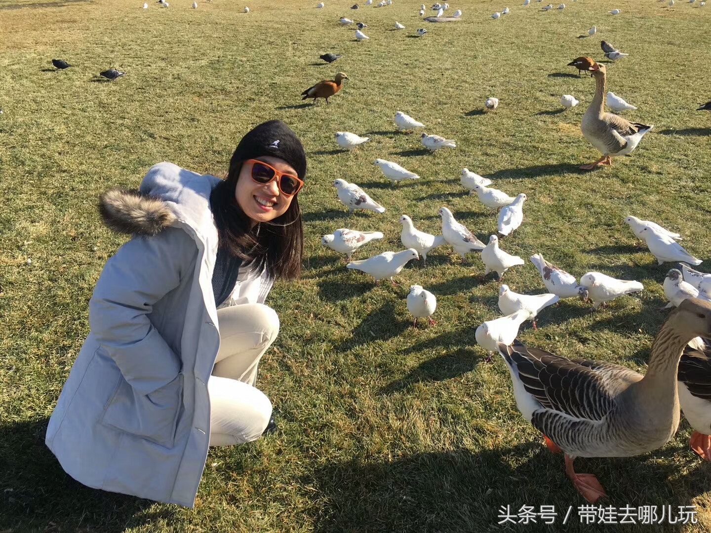 奥森附近藏着一个世外桃源，大草坪上喂白鸽、摸羊驼