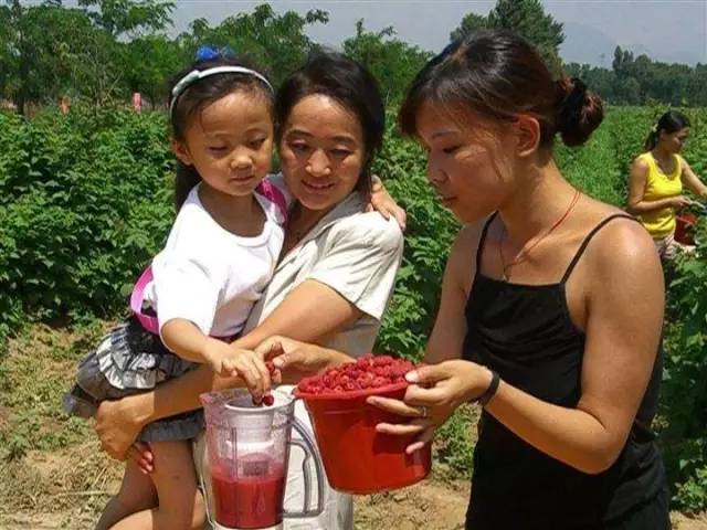 媳妇不幸福全家不幸福,媳妇不幸福全家都不幸福